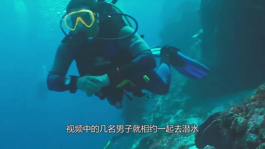 你赞同高考后整容吗？游戏画面